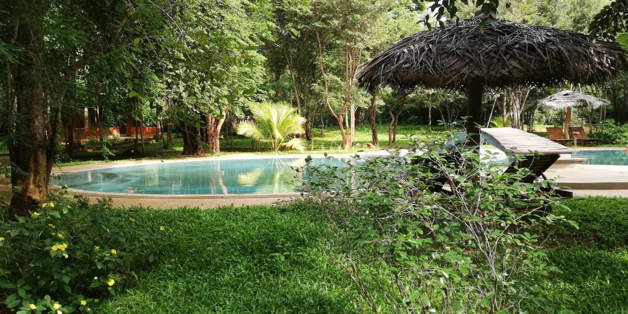 Kuwera Eco Lodge Сигирия Экстерьер фото